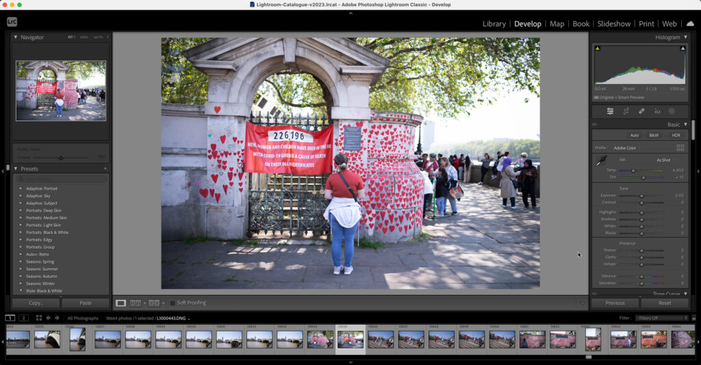 RAW DNG file in Adobe Lightroom before edits.